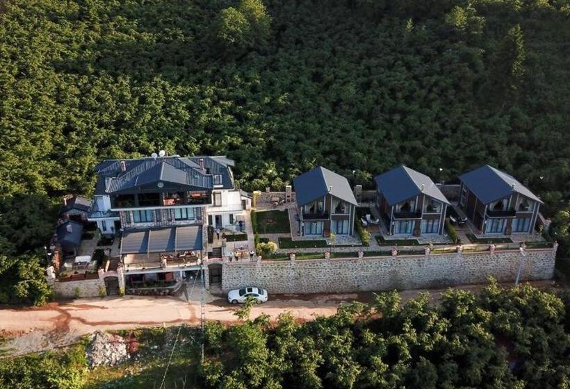 Poison Garden Sui̇te