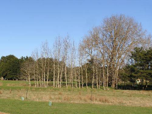 ベッドアンドブレックファースト Auberge Woodend