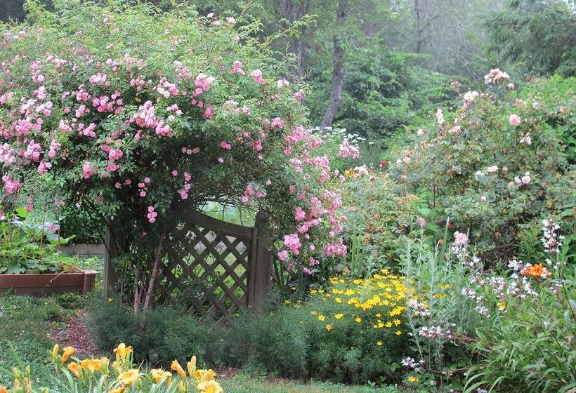 مبيت وإفطار Honeysuckle Hill Inn