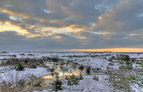 مبيت وإفطار Honeysuckle Hill Inn