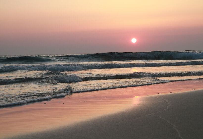 Falassarna Beach Studios&apartments