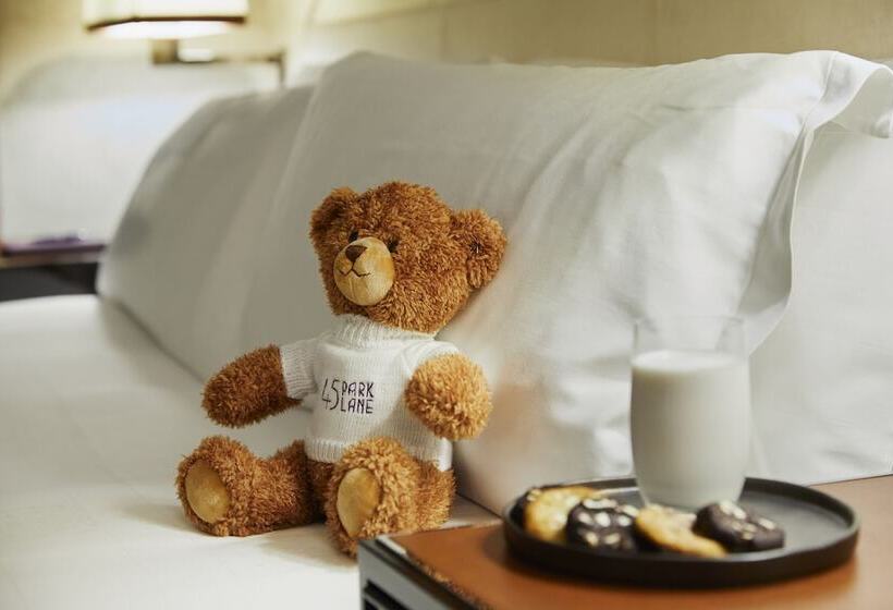 בית מלון כפרי 45 Park Lane  Dorchester Collection