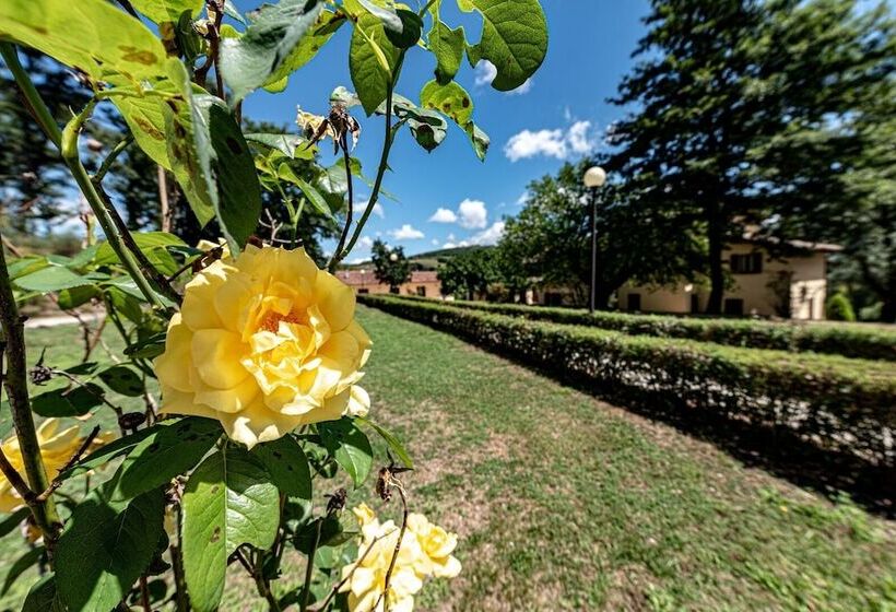 Отель Abadia Farneto