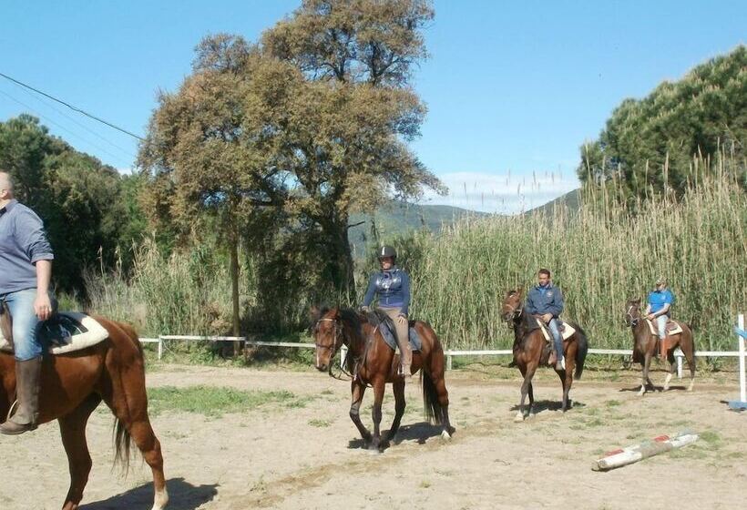 Отель Abadia Farneto