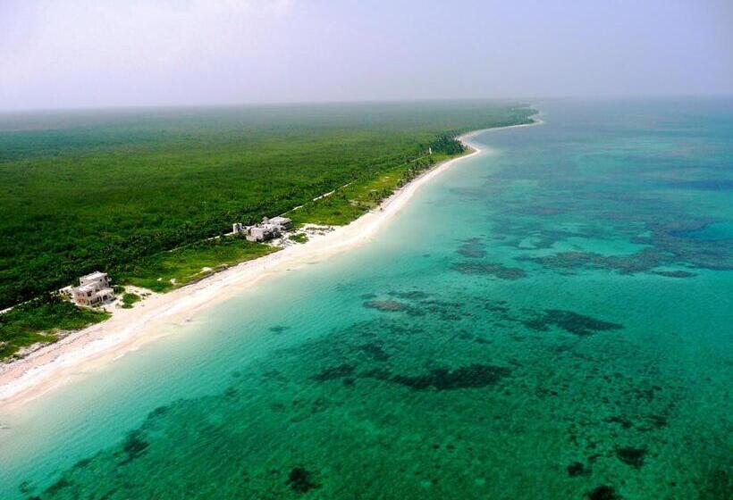 בית מלון כפרי Almaplena Boutique