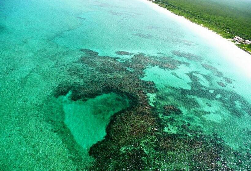 בית מלון כפרי Almaplena Boutique