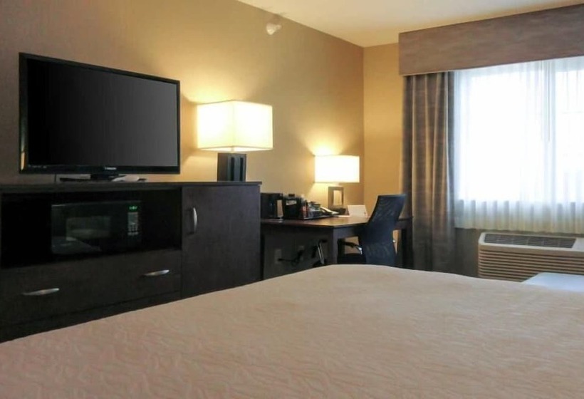 בית מלון כפרי Amerivu Inn And Suites  Chisago City