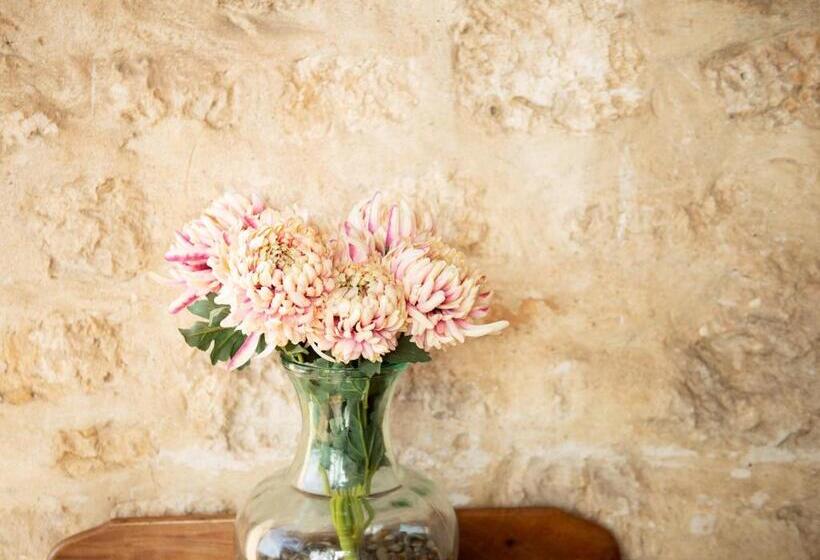 酒店 Anchorage Seafront