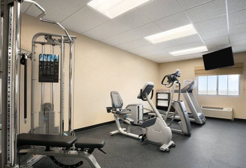 ホテル Baymont Inn & Suites By Wyndham Odessa