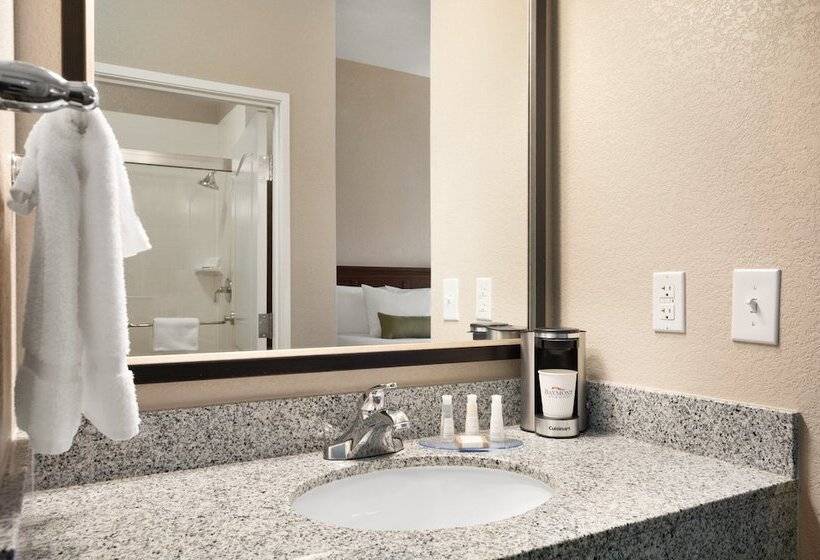 ホテル Baymont Inn & Suites By Wyndham Odessa