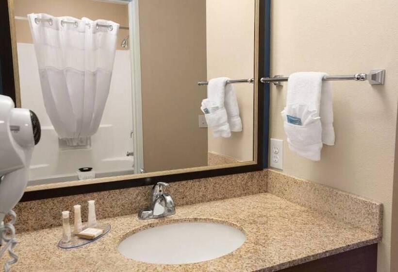 ホテル Baymont Inn & Suites By Wyndham Odessa