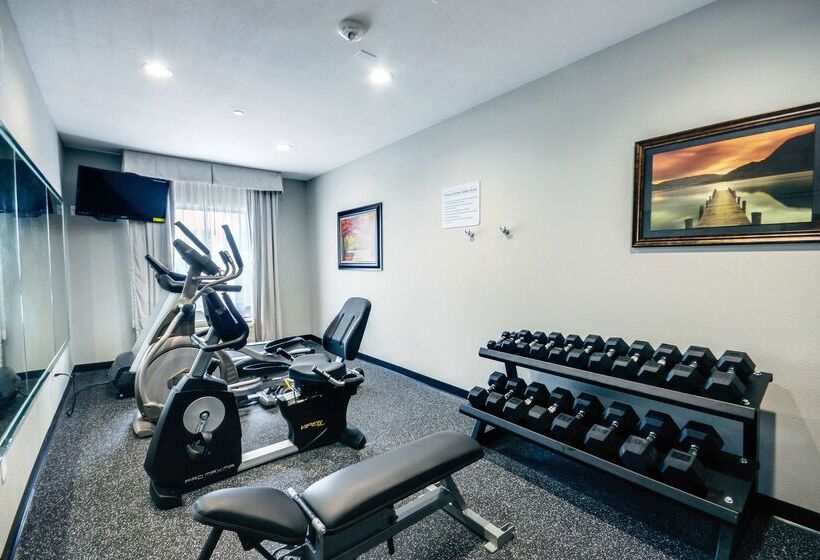 فندق Best Western Casino Inn