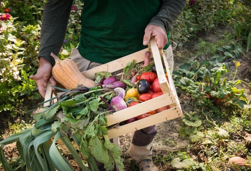 酒店 Borgo Pignano Tuscany