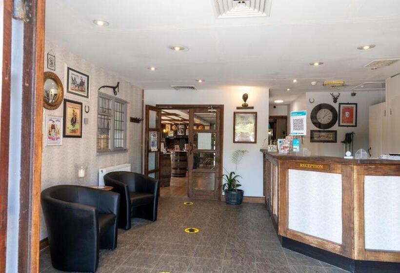 ホテル Buffalo Bill S