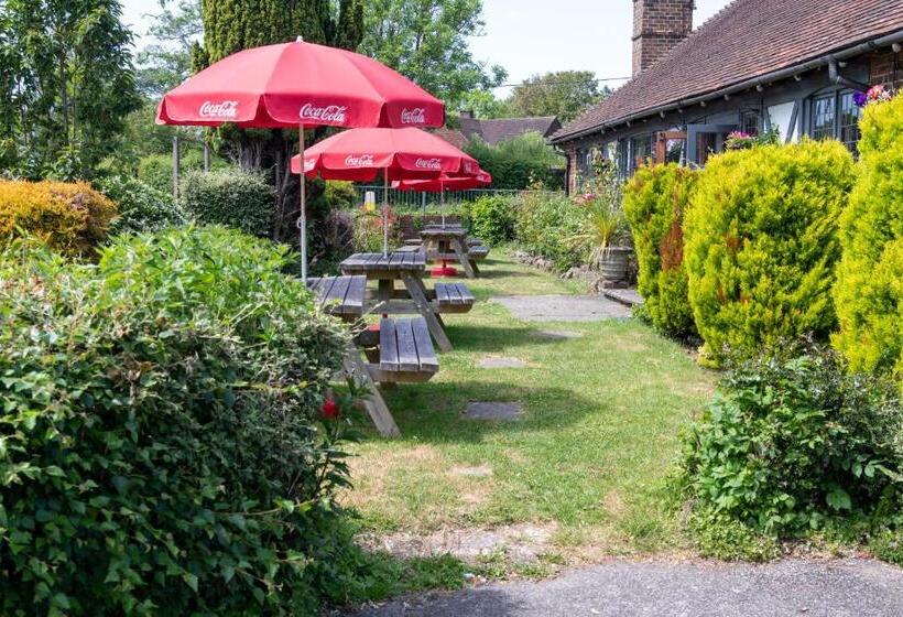 ホテル Buffalo Bill S