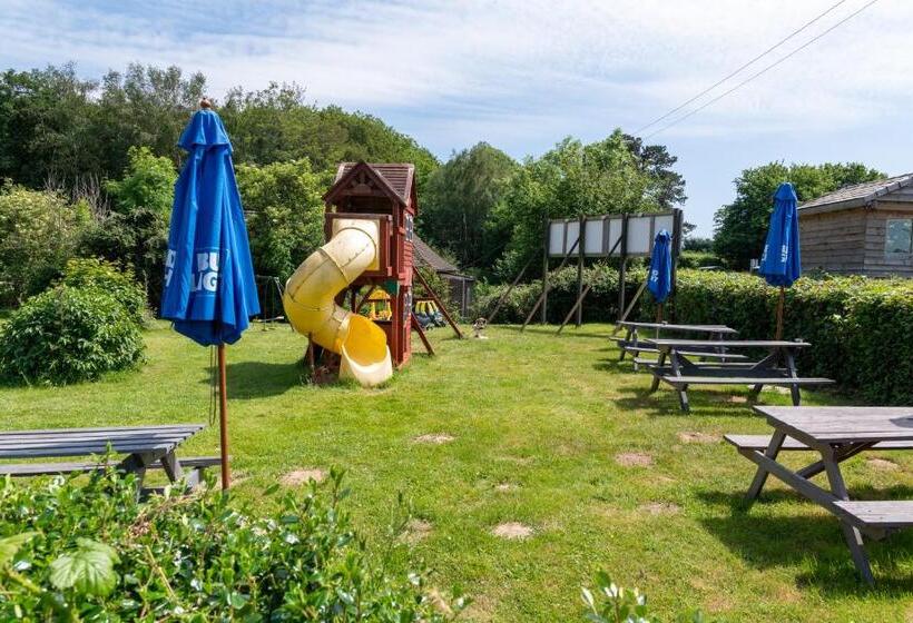 ホテル Buffalo Bill S