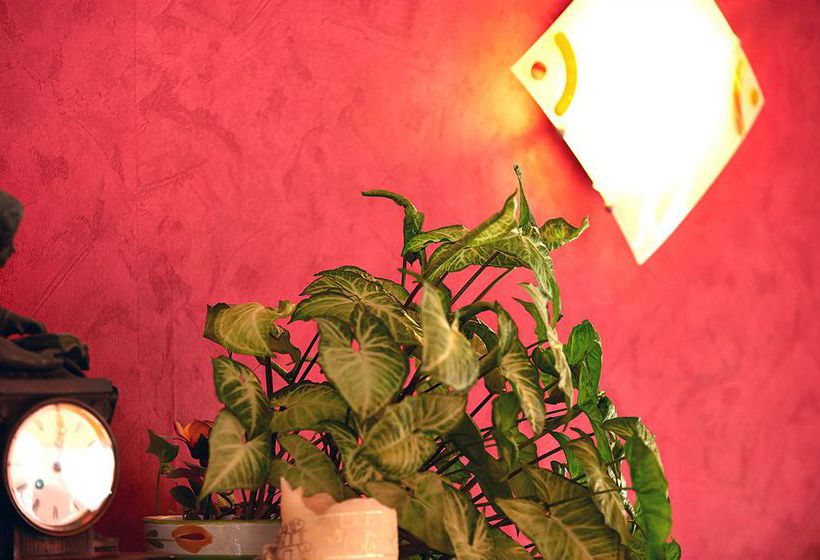 Отель Hôtel Chez Felix