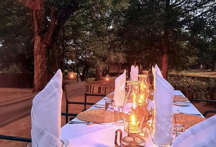 호텔 Karongwe Portfolio Chisomo Safari Camp