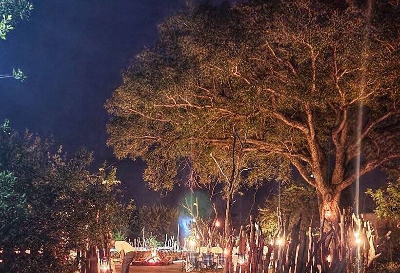 호텔 Karongwe Portfolio Chisomo Safari Camp