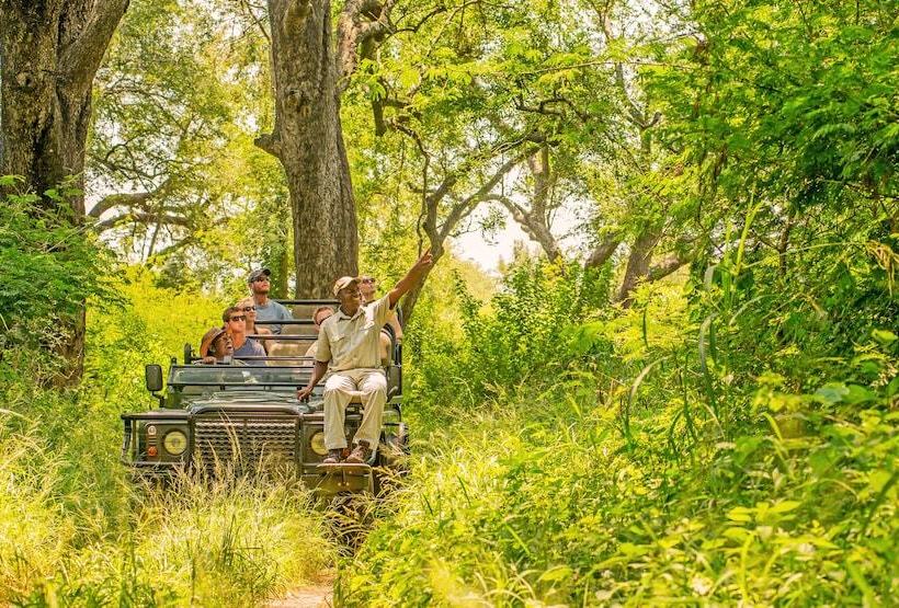 호텔 Karongwe Portfolio Chisomo Safari Camp