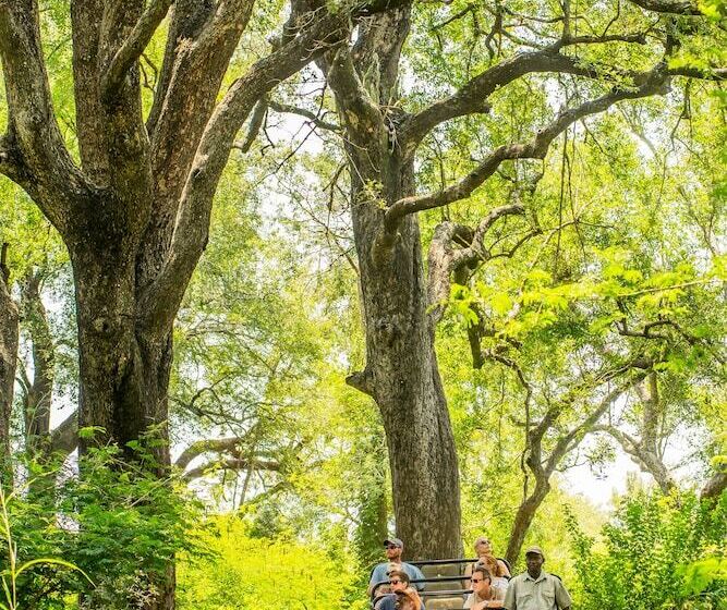 호텔 Karongwe Portfolio Chisomo Safari Camp