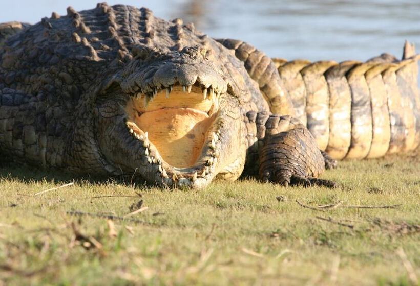 호텔 Karongwe Portfolio Chisomo Safari Camp