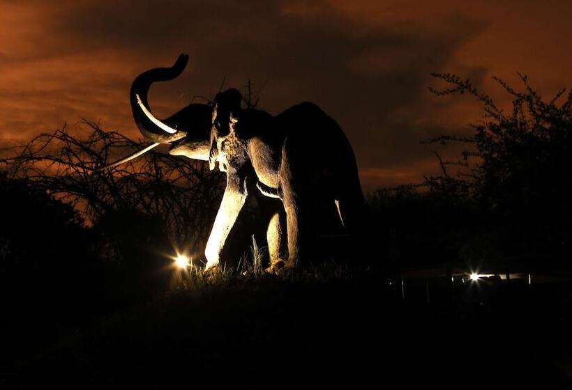 호텔 Karongwe Portfolio Chisomo Safari Camp