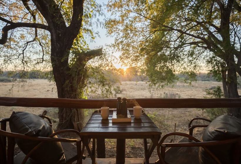 호텔 Karongwe Portfolio Chisomo Safari Camp