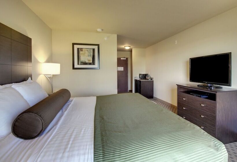 فندق Cobblestone Inn & Suites   Avoca