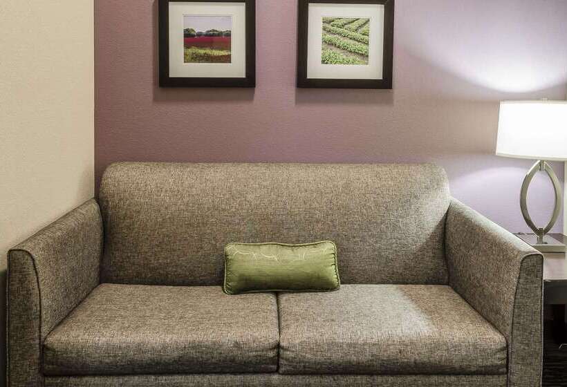 فندق Comfort Inn & Suites Dothan East