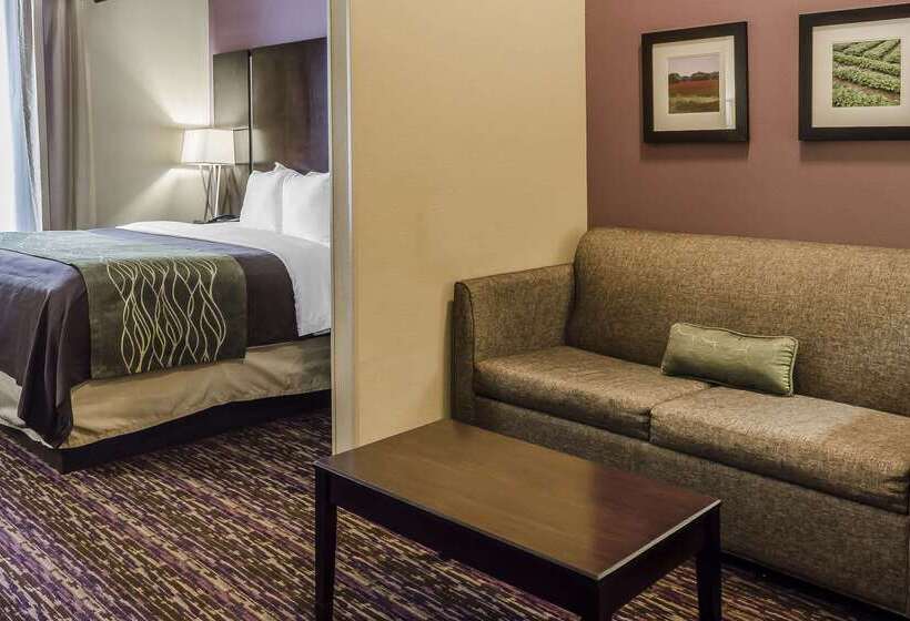 فندق Comfort Inn & Suites Dothan East