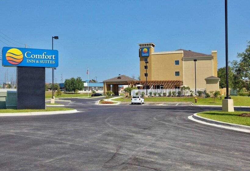 فندق Comfort Inn & Suites Dothan East