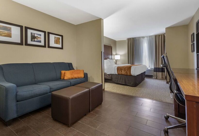فندق Comfort Suites Bridgeport  Clarksburg