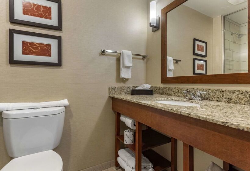فندق Comfort Suites Bridgeport  Clarksburg
