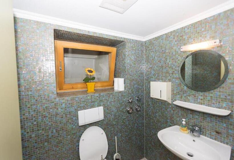 Отель Deva Villa Mittermaier