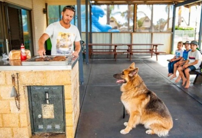 فندق Discovery Parks   Bunbury Village