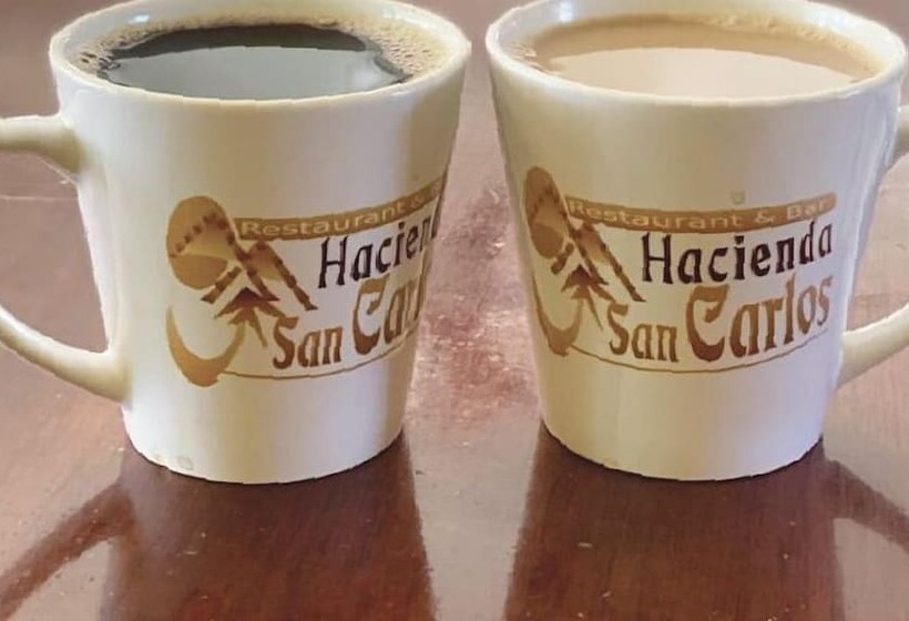 ホテル Estancia San Carlos Guayabitos