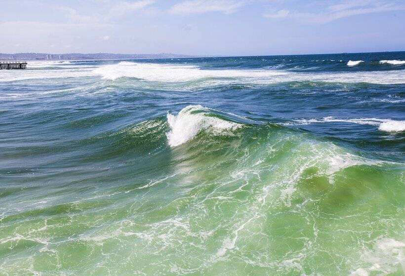 בית מלון כפרי First Group The Palace Allsuite