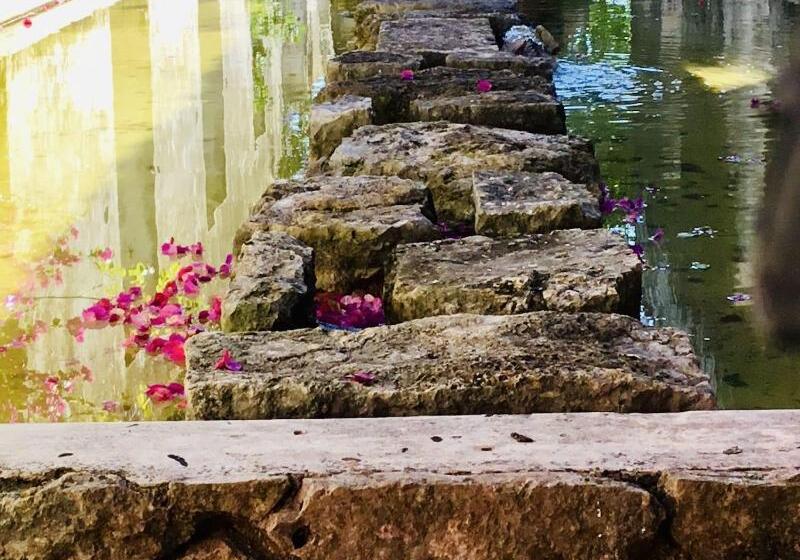 호텔 Hacienda Sacnicte