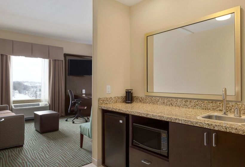 فندق Hampton Inn & Suites Parkersburg Downtown