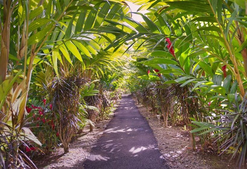 فندق Heliconias Nature Inn & Hot Springs