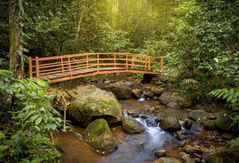 فندق Heliconias Nature Inn & Hot Springs