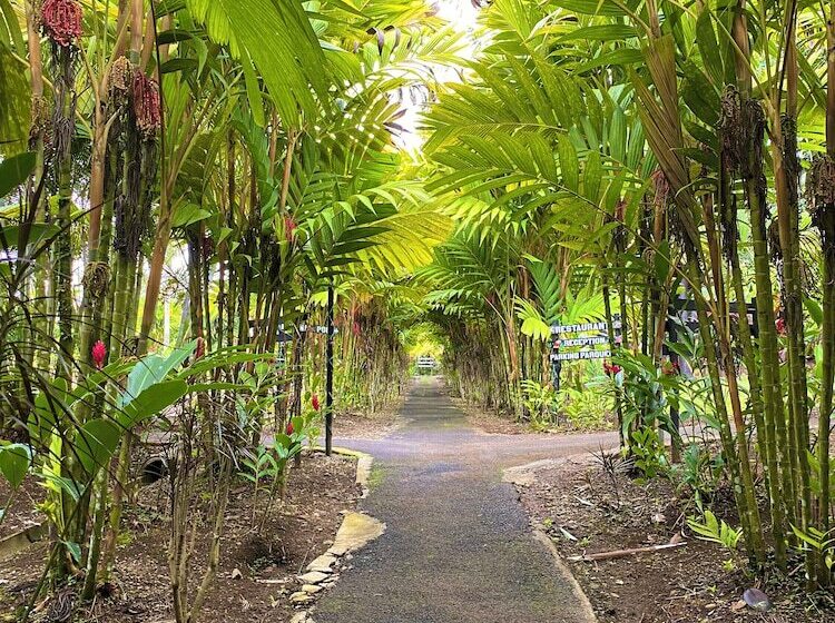 فندق Heliconias Nature Inn & Hot Springs