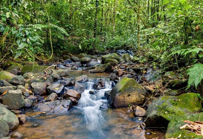 فندق Heliconias Nature Inn & Hot Springs