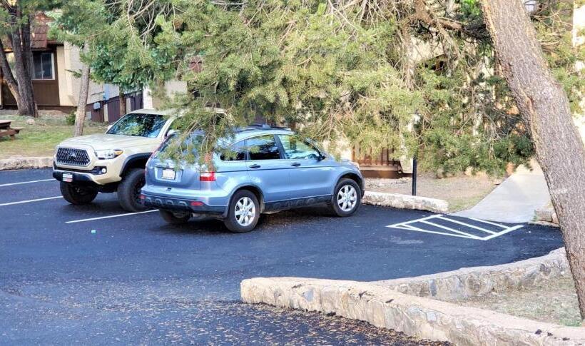 فندق High Sierra Condominiums