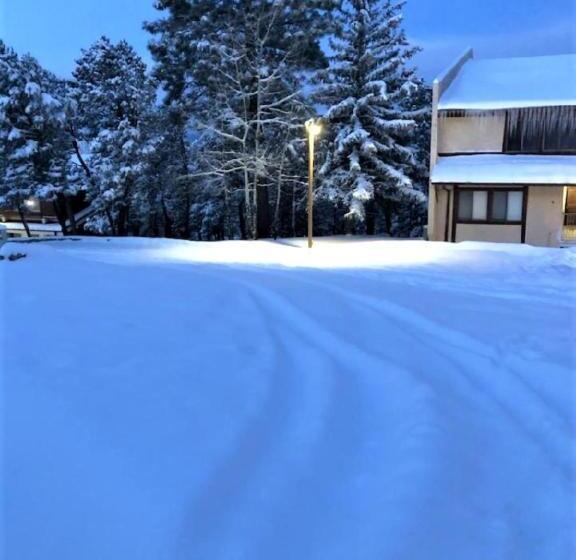 فندق High Sierra Condominiums