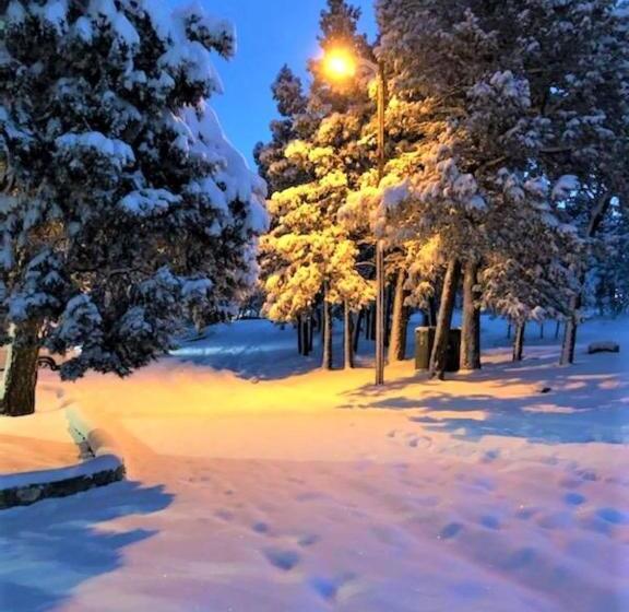 فندق High Sierra Condominiums