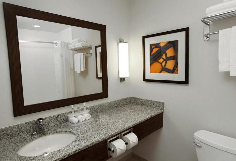 فندق Holiday Inn Express & Suites Omaha South Ralston Arena, An Ihg