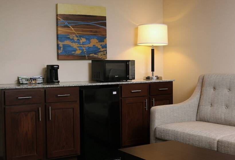 فندق Holiday Inn Express & Suites Omaha South Ralston Arena, An Ihg
