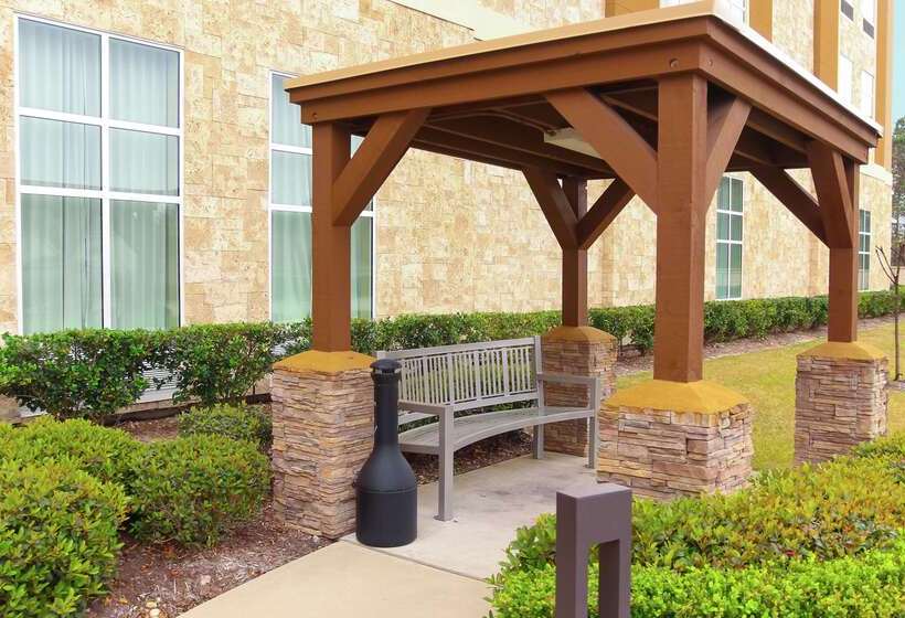 Hotel Homewood Suites By Hilton North Houston/spring